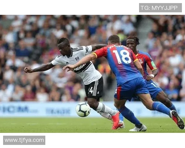 斯托克城主场迎战莱斯特城争夺英超宝贵积分的激烈对决